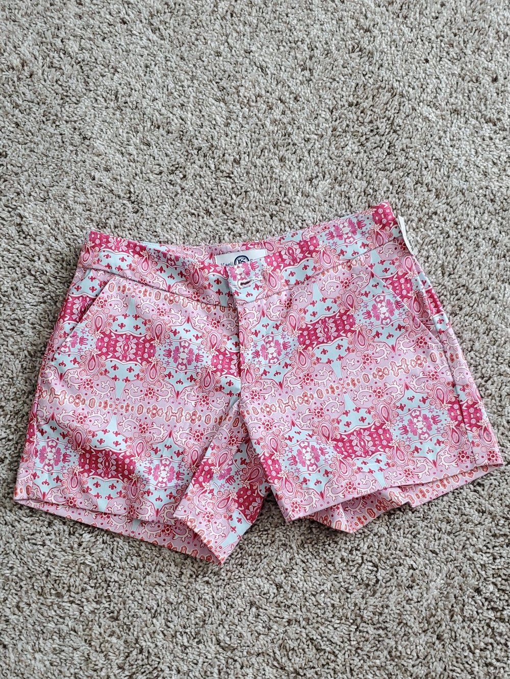 Kaeli Smith 5" shorts bright pink and light blue paisley print. NWpartialT Sz 0